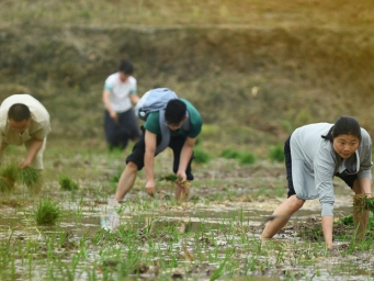 小满时节，四川如何在高温干旱下抢收抢种？